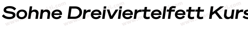 Sohne Dreiviertelfett Kursiv字体转换